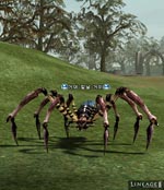 Blade Spider Lineage skills