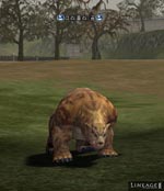Grizzly Lineage skills