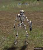 Skeleton Raider Lineage skills