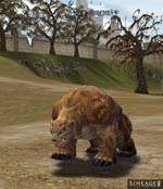 Dion Grizzly Lineage skills