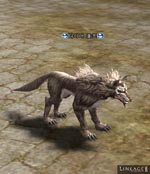 Dire Wolf Lineage skills