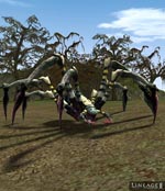 Marsh Spider Lineage skills