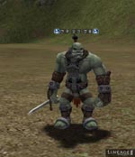 Enku Orc Champion Lineage skills