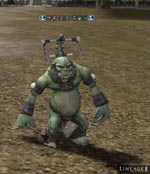 Enku Orc Shaman Lineage skills
