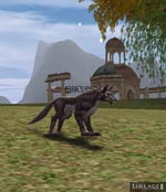 Black Wolf Lineage skills