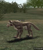 Black Timber Wolf Lineage skills