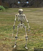 Slave Skeleton Lineage skills