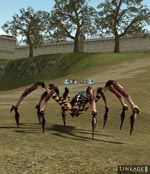 Cave Spider Lineage skills