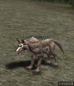Vrykolakas Wolfkin Lineage skills