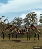Scavenger Spider Lineage skills