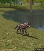 Elder Wolf Lineage skills