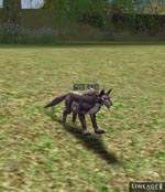 Ashen Wolf Lineage skills
