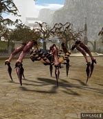 Dungeon Spider Lineage skills