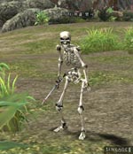 Dungeon Skeleton Lineage skills