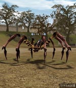Pincer Spider Lineage skills