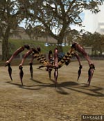 Kasha Spider Lineage skills
