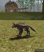 Kasha Wolf Lineage skills