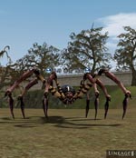 Kasha Fang Spider Lineage skills