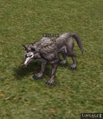 Kasha Timber Wolf Lineage skills