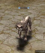 Turek War Hound Lineage skills