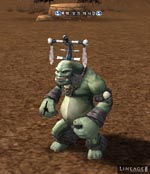 Turek Orc Shaman Lineage skills