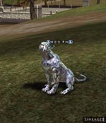 Twink Puma Lineage skills