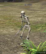 Skeleton Hunter Lineage skills