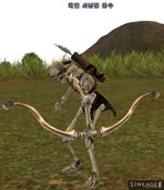 Skeleton Hunter Archer Lineage skills