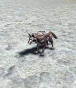 Grey Wolf Elder Lineage skills