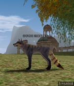 Elder Prairie Keltir Lineage skills