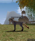 Elder Longtail Keltir Lineage skills
