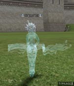 Liele Elder Lineage skills