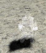 Forrest of Mirrors Ghost Lineage skills