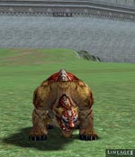 Kranrot Lineage skills