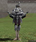 OUT OF USE Lineage skills