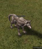 Bepook's Pet Lineage skills