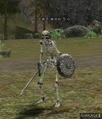 Dragon Bearer Warrior Lineage skills