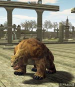 Hunter Bear Lineage skills