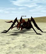 Ant Captain Lineage skills