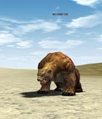 Hatu Brown Bear Lineage skills