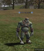 Orc Lieutenant Lineage skills