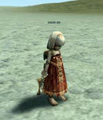 Sairon's Doll Lineage skills